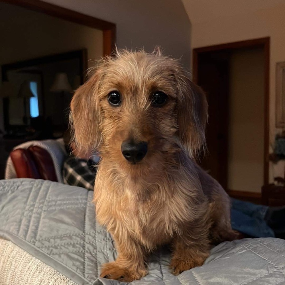 Meet your Posher, Terry